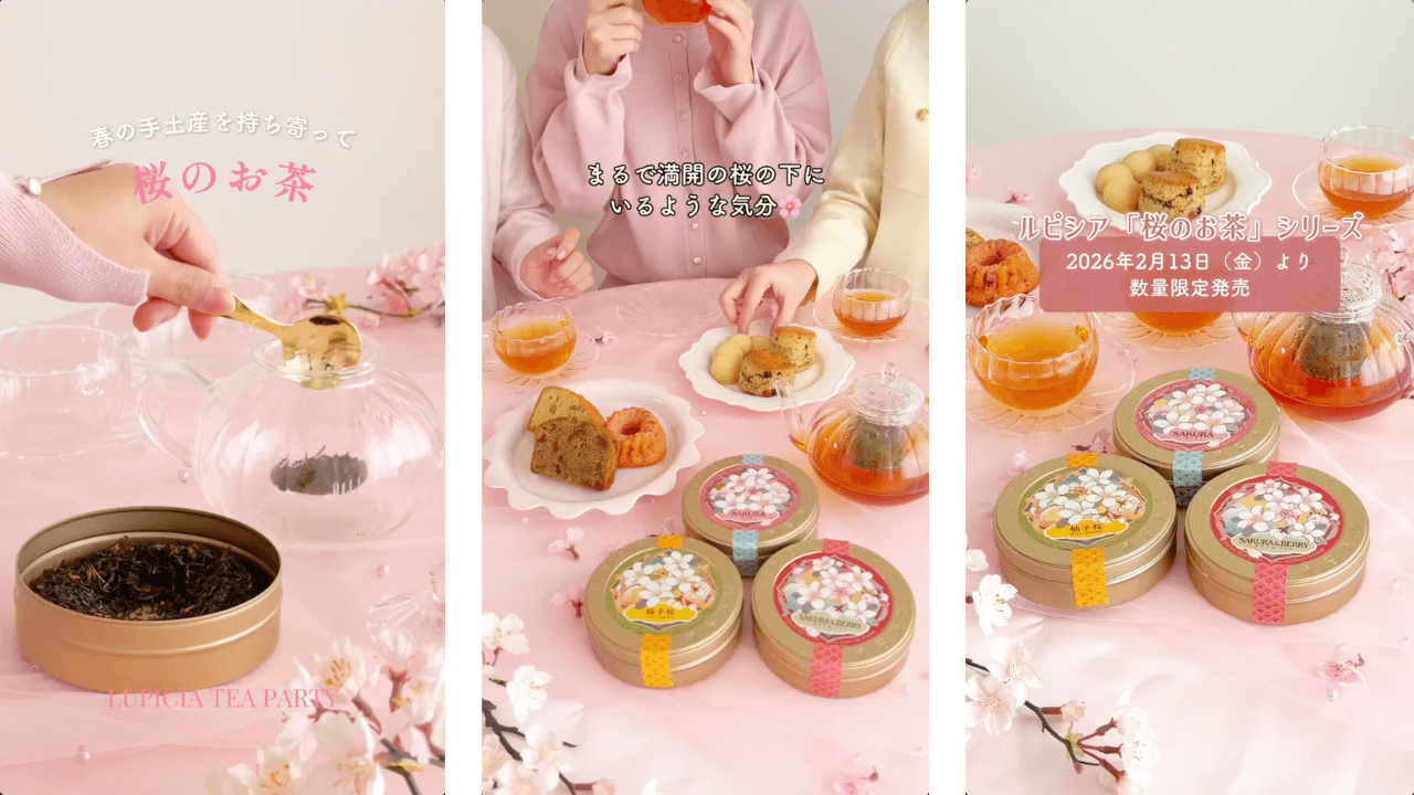 桜のお茶/ブック オブ ティー